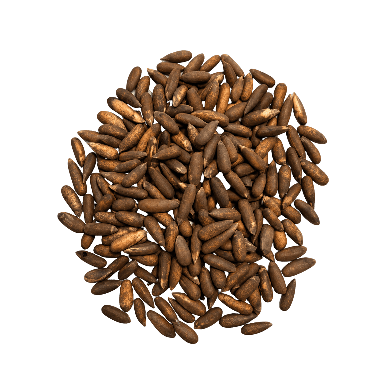 Pine nuts packet